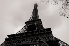 Branches And The Eiffel Tower