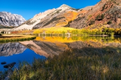 Eastern Sierra Fall Colors