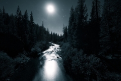 Moonlit River