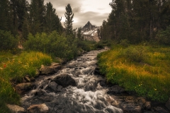 Mountain Stream