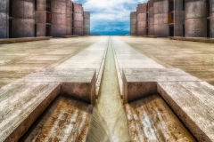 Salk Institute