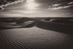 Sea Of Sand