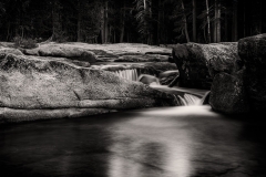 Stream At Edge Of Forest