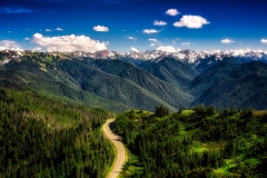 Towards Hurricane Ridge