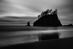 Trees On Sea Stack