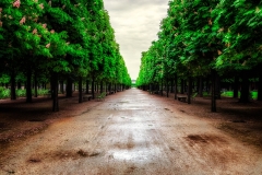 Tuileries Garden